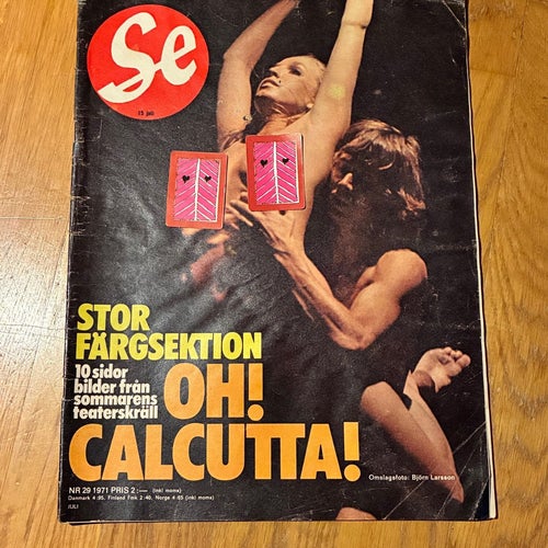 Se tidning från 1971