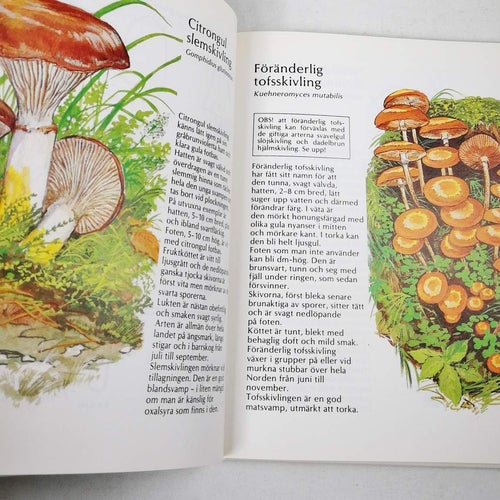 Charlie Bood - Gott med svamp och 25 goda svampar (1986 Recept)