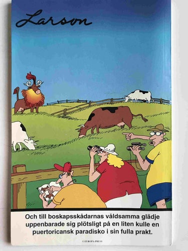 Larson! - 1992:12 NM