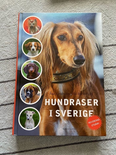 Hundraser i Sverige av Åsa Lindholm, Ulla Barvefjord