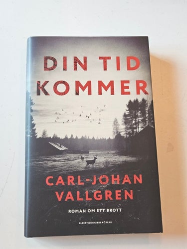 Din tid kommer av Carl-Johan Vallgren, 2019, roman, bok, book