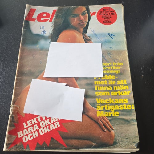 Lektyr Nr 17 1971
