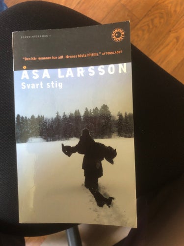 Svarta Stig av Åsa Larsson, 2006