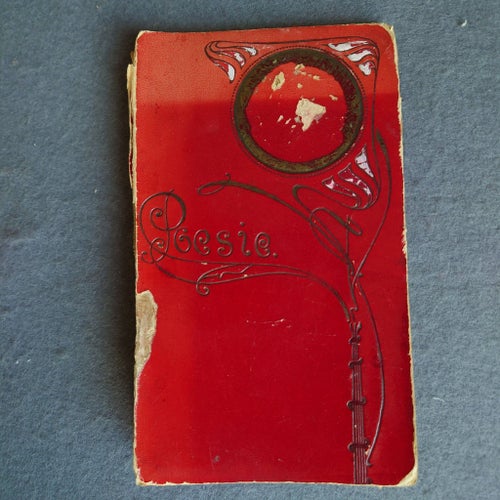 Poesialbum från 1904 storlek 18,5 x 11,5 cm