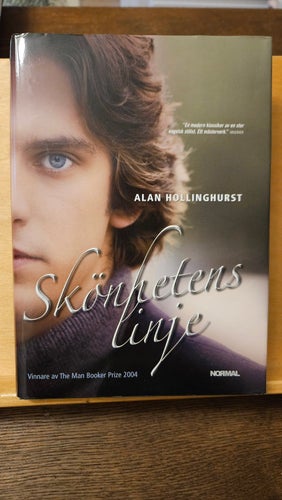 Skönhetens linje, Alan Hollinghurst