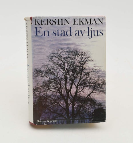 En stad av ljus : [roman] / Kerstin Ekman.
