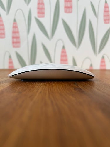 Apple Magic Mouse(A1296)