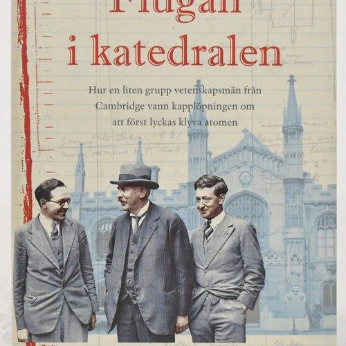 Flugan i katedralen / Brian Cathcart