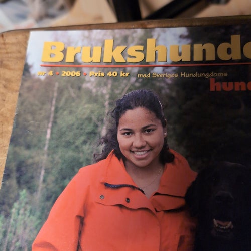 Brukshunden nr 4, 2006