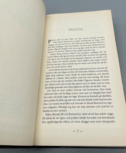 Svart eld av Christina Brönnestam (inbunden, fantasy)
