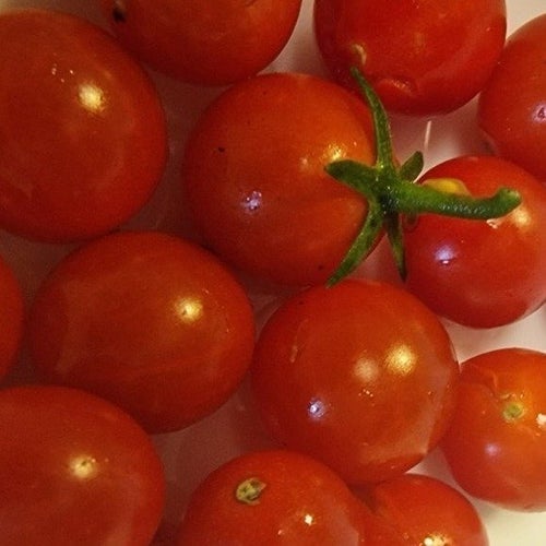 100/1000 - Solanum lycopersicum - 10 st sättfrön Tomat. Frakt ingår!