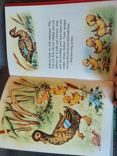 PICCOLI-serien 1968 ANKMOR och hennes ungar !