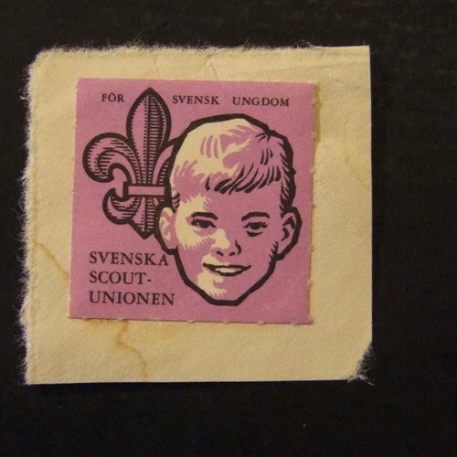 Svenska Scoutunionen. För svensk ungdom