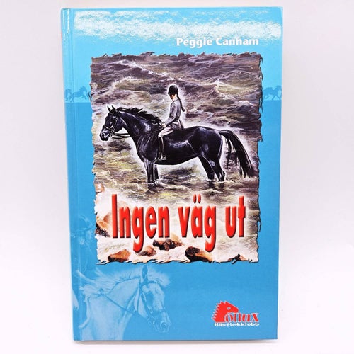 Ingen väg ut - Peggie Cannam