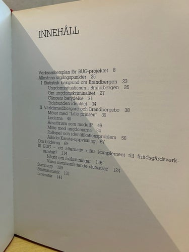 Bråkig, ung och galen en bok om Brandbergens ungdomsgrupp Karla Werner Bosse H