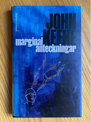 Marginalanteckningar - John Keene