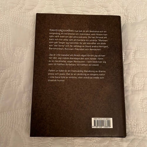Fallen ur tiden - David Grossman