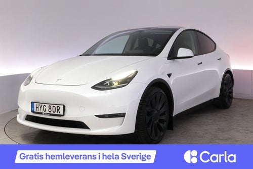 Tesla Model Y Performance Autopilot Panorama