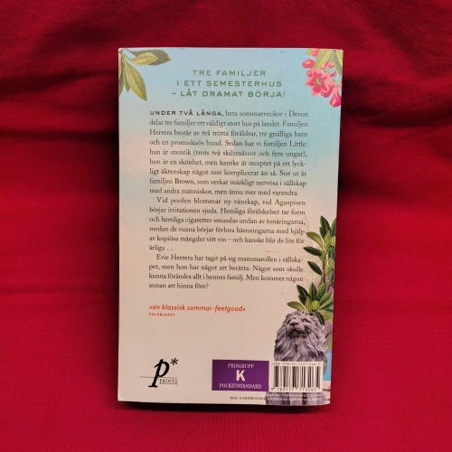Drömhjärta - Samartin, Cecilia (Pocket) 2014