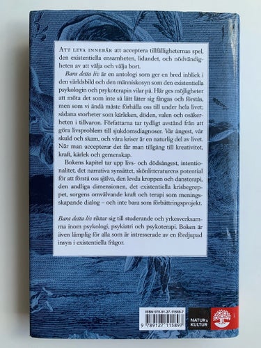 Bara detta liv – Dan Stiwne – Existentiell psykologi