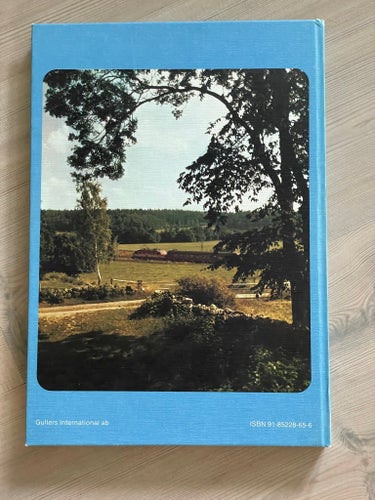 SJ 125 ÅR - 1981