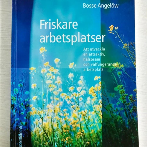 FRISKARE ARBETSPLATSER Bosse Angelöw 2007