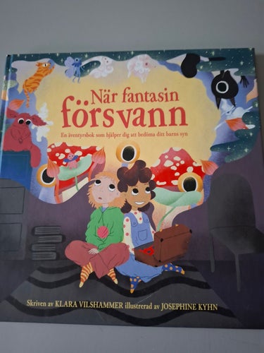 När fantasin försvann. En äventyrsbok som hjälper dig att bedöma ditt barns syn.
