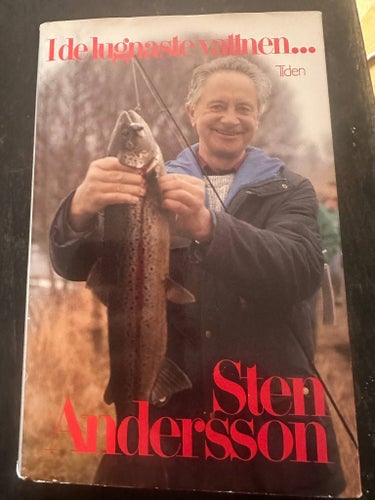I det lugnaste vatten, Sten Andersson