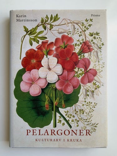 Pelargoner: Kulturarv i kruka – Karin Martinsson