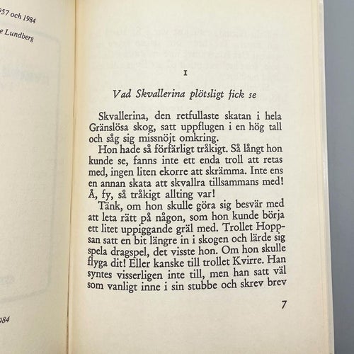 Kvirre och Hoppsan del 5: I vida världen av Ester Ringnér-Lundgren