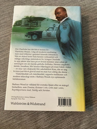 Det Gåtfulla Skrinet av Barbara Wood, 2000