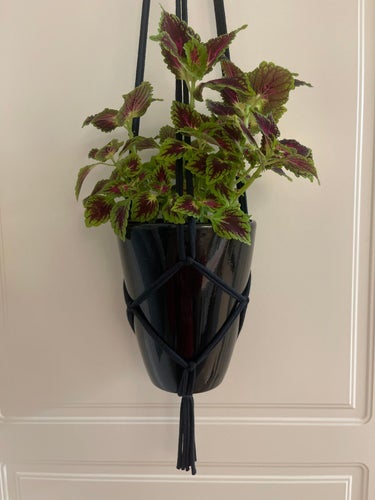 Ampel handmade, svart, makrame, 13-15 cm