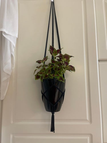Ampel handmade, svart, makrame, 13-15 cm