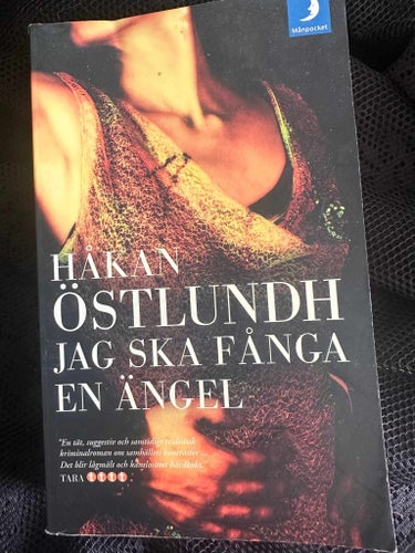 Jag ska fånga en ängel