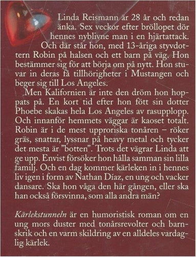 KÄRLEKS TUNNELN - Hilma Wolitzer ( INBUNDEN )