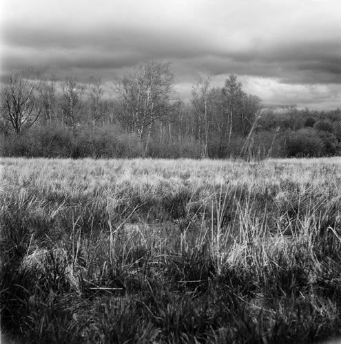 Ilford PANF Plus 120