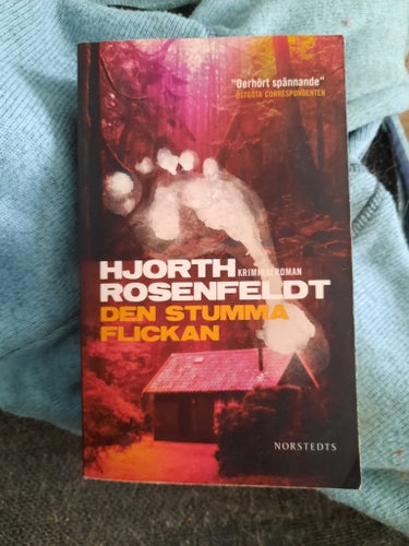 Den stumma flickan av Hjorth Rosenfeldt, 2013