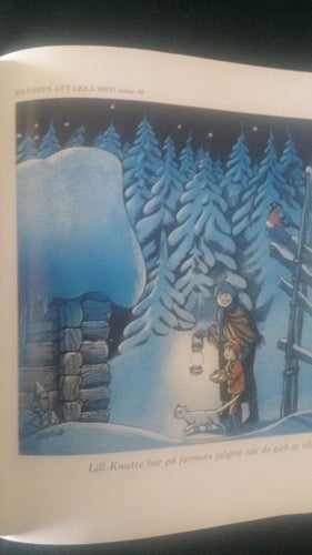 Bok Bland TOMTAR och TROLL ca 17 cm x 19,5 cm