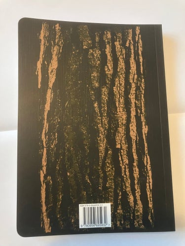 VARG VIKERNES (BURZUM) - Sorcery and Religion in Ancient Scandinavia (Bok)