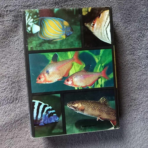 Den stora fiskboken | S. Frank.