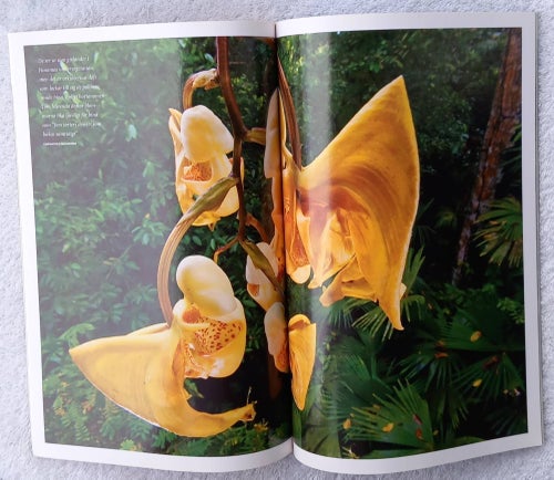 National geographic, 9/2009 – solens energi, orkidéer, kungspingviner