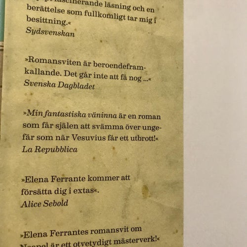 MIN FANTASTISKA VÄNINNA Elena Ferrante 2016