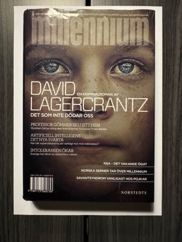 Millennium: Det som inte dödar oss av David Lagercrantz (2015)