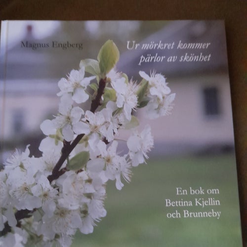 Ur mörkret kommer pärlor av skönhet .