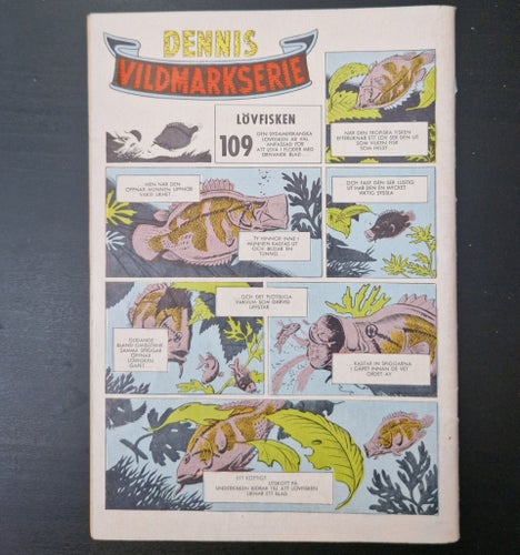 Dennis nr 19, 1963