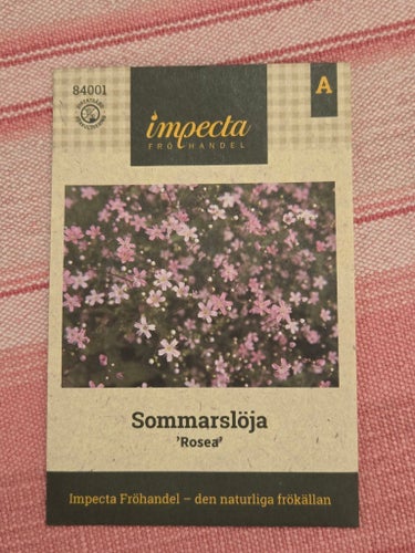 Impecta frö Sommarslöja 'Rosea' Oöppnad!