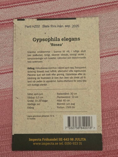 Impecta frö Sommarslöja 'Rosea' Oöppnad!