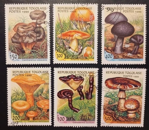 Lot of 6 CTO stamps of Togo-mushrooms