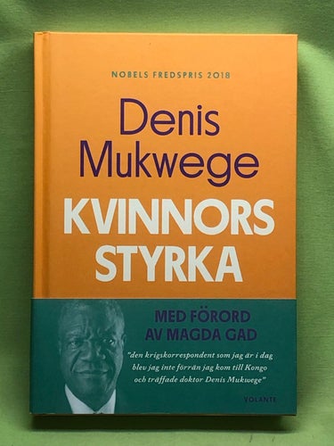 Kvinnors styrka vad jag lärt mig av kampen på det sexuella våldets frontlinje /