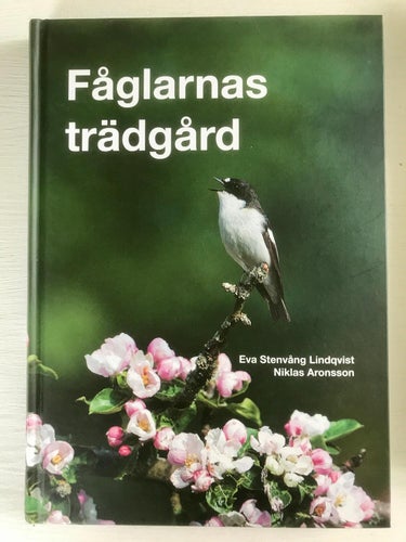 FÅGLARNAS TRÄDGÅRD Eva Stenvång Lindqvist Niklas Aronsson 2013